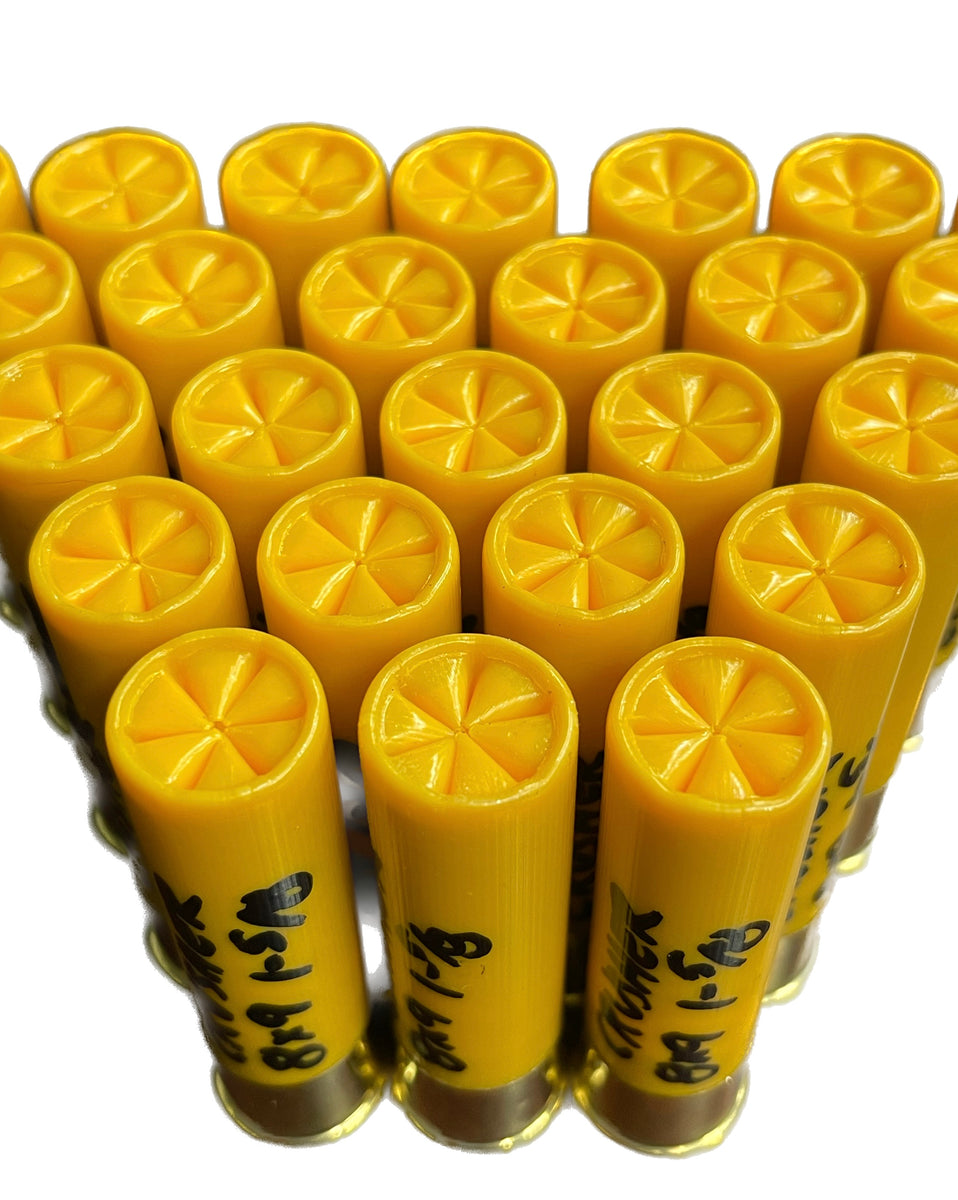 A R Twenty Two Shells 20 Gauge Shotgun Shell
